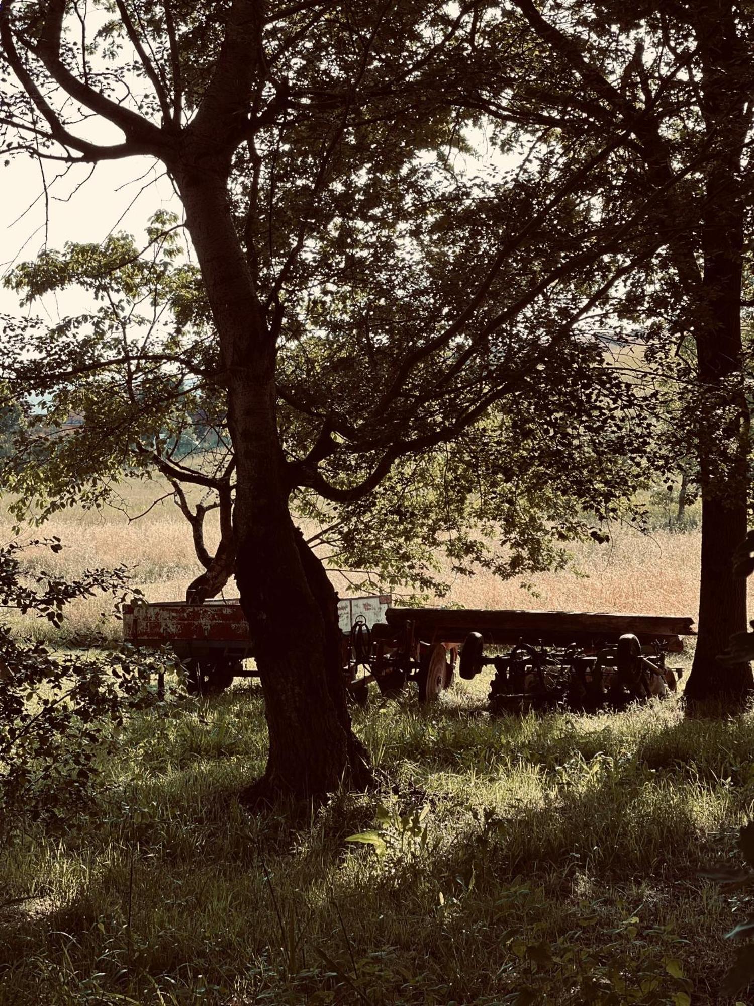 Il Felcino Villa Fabro Bagian luar foto